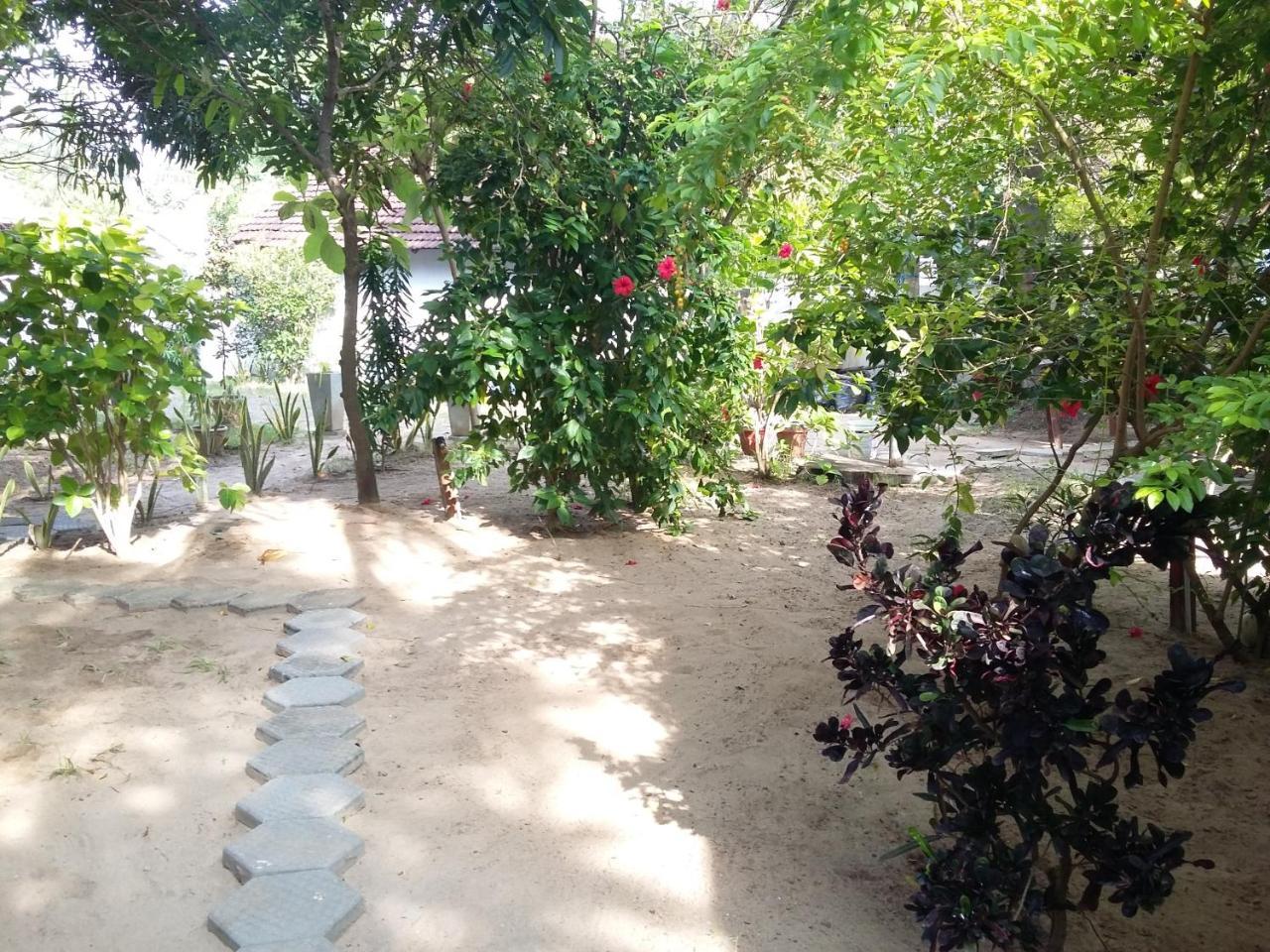 Arugam Bay Holiday Extérieur photo